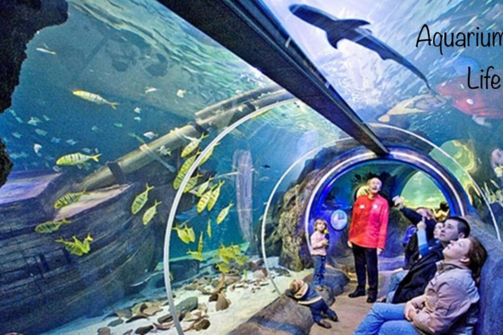 Studio 2 Adultes 2 Enfants Parcs Disneyland Paris 蒙泰夫兰 外观 照片